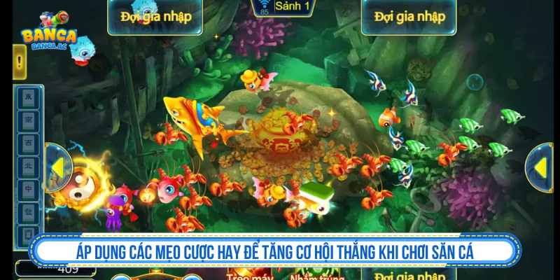 Áp dụng các mẹo cược hay để tăng cơ hội thắng khi chơi săn cá