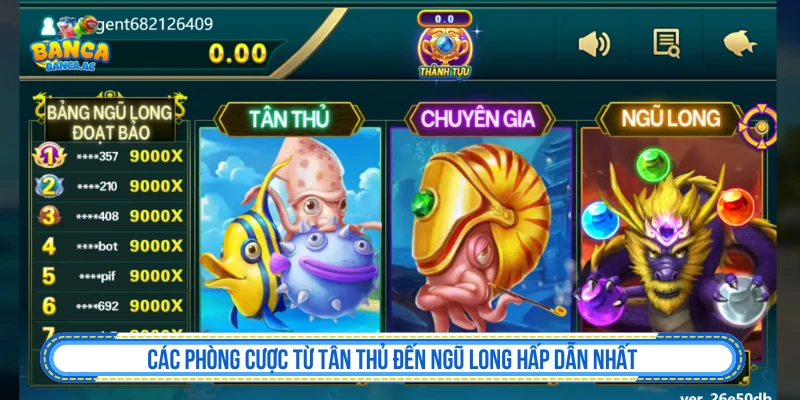 Các phòng cược từ tân thủ đến ngũ long hấp dẫn nhất