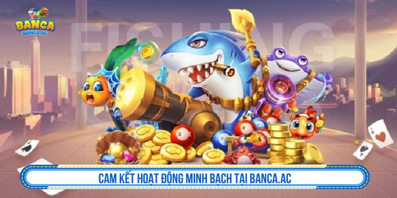 Cam kết hoạt động minh bạch tại Banca.ac