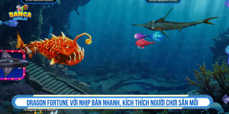 Dragon Fortune với nhịp bàn nhanh, kích thích người chơi săn mồi