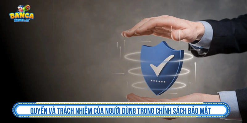 Quyền và trách nhiệm của người dùng trong chính sách bảo mật 