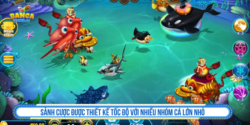 Sảnh cược được thiết kế tốc độ với nhiều nhóm cá lớn nhỏ
