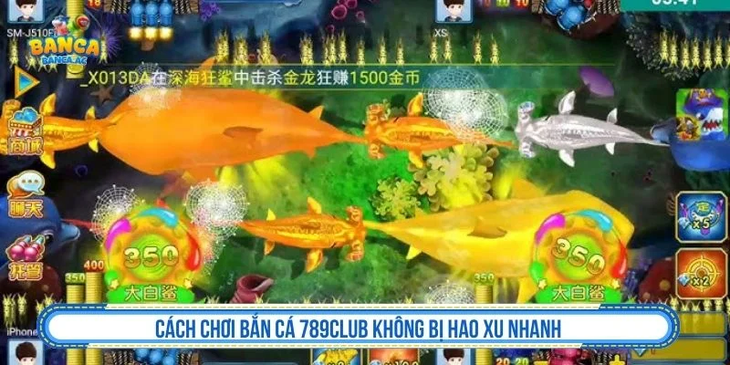 Ưu tiên cá nhỏ và vừa để tích lũy xu